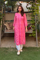 Gala Panel Buta Aplic designed Chikankari Kurta