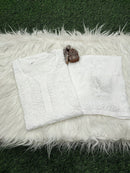 Anaya Rangin Chikankari 3d Work Handworked Set - Chikankari official