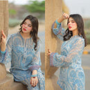 Farshi Plazzo With pure Georgette Top - Chikankari official
