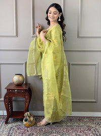 Full Neck mirror Work Organza Set - Chikankari official