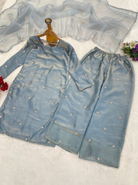 Grey Ready made occasionally Wear 3pc Set - Chikankari official