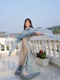 Grey Ready made occasionally Wear 3pc Set - Chikankari official