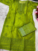 HALDI /MEHENDI PARTYWEAR SPECIAL Bakhiya work Organza With inner Combo - Chikankari official