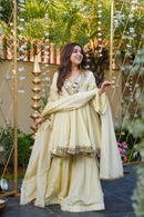 Most Viral Aliya Cut mirror work Set - Chikankari official