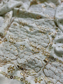 MughleKhaas Viscose Suit - Chikankari official