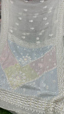 PREMIUM ORGANZA SAREE - Chikankari official